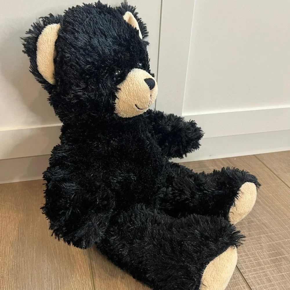 Build-a-bear Black teddy‎ bear stuffed animal